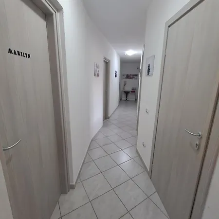 Metalla 이글레시아스